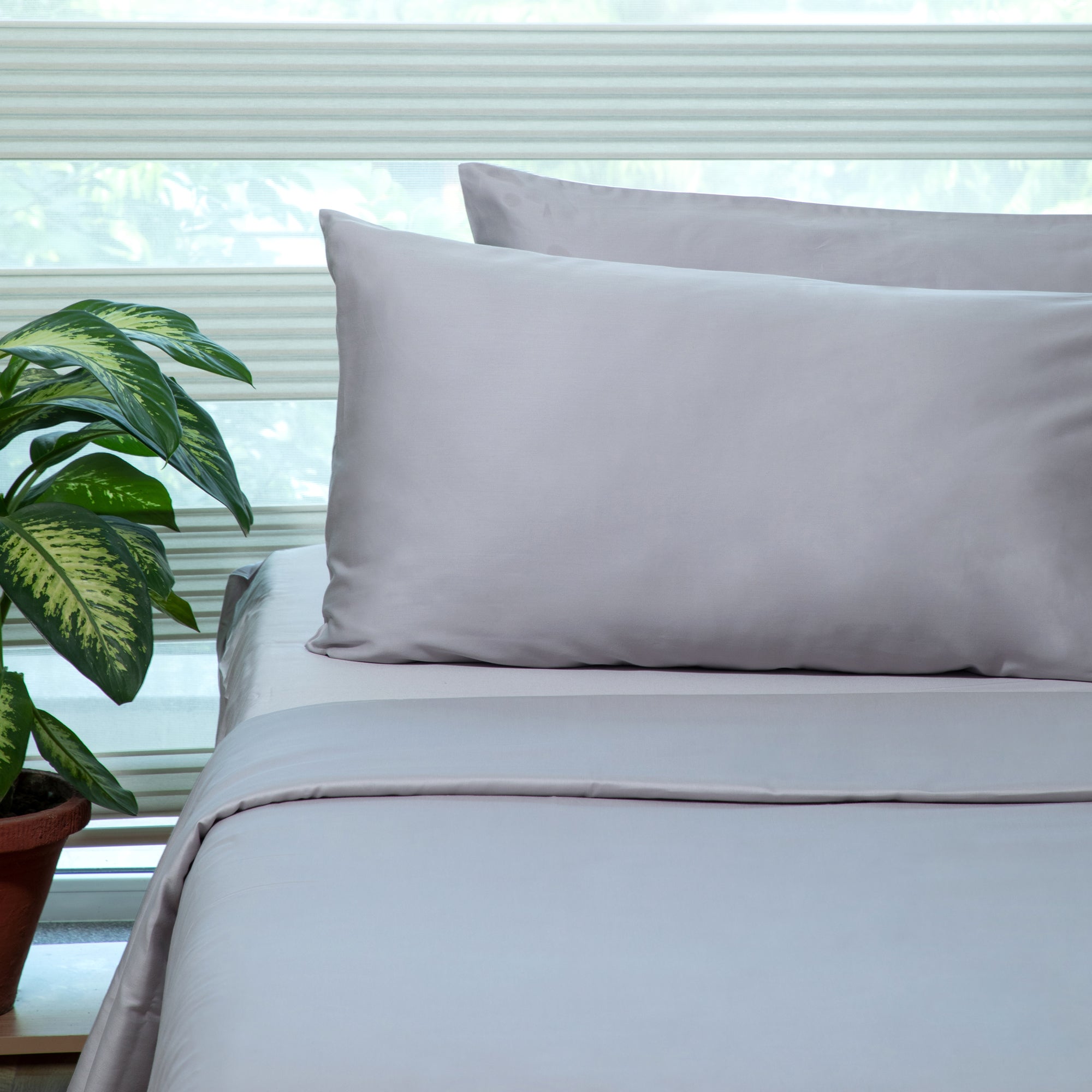 100% Organic Cotton Sateen Sheet Set