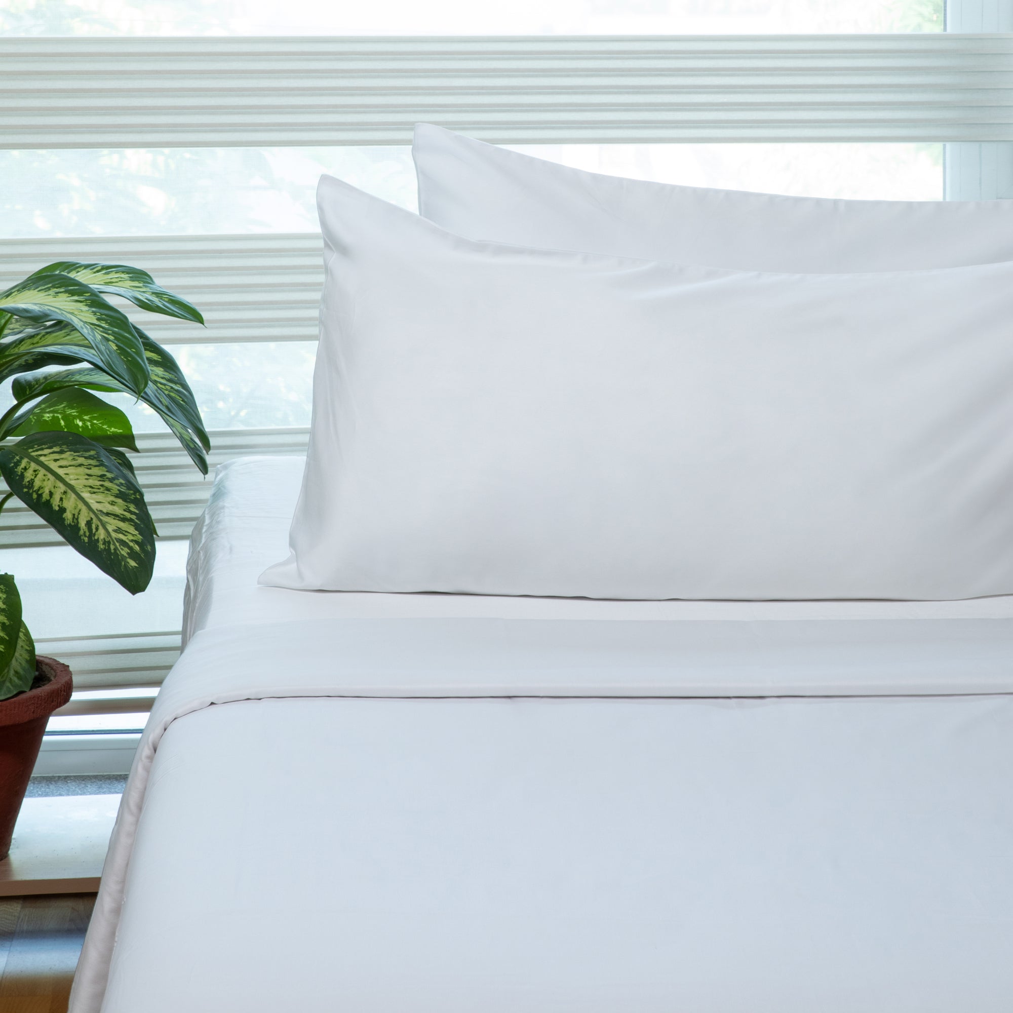 100% Organic Cotton Sateen Sheet Set